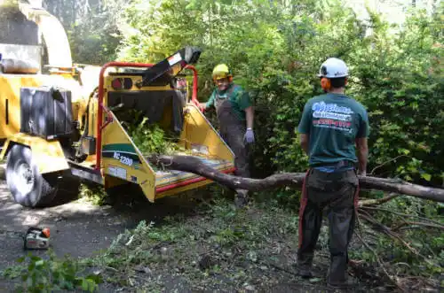 tree services Prestbury